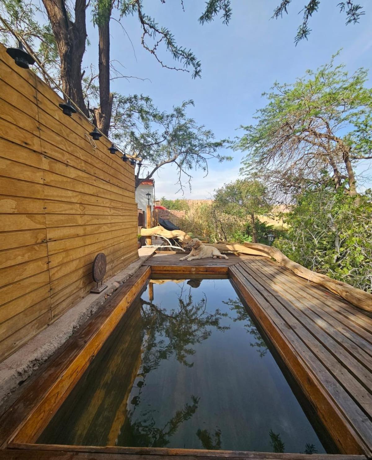 Anka Lodge Quitor Сан-Педро-де-Атакама Экстерьер фото