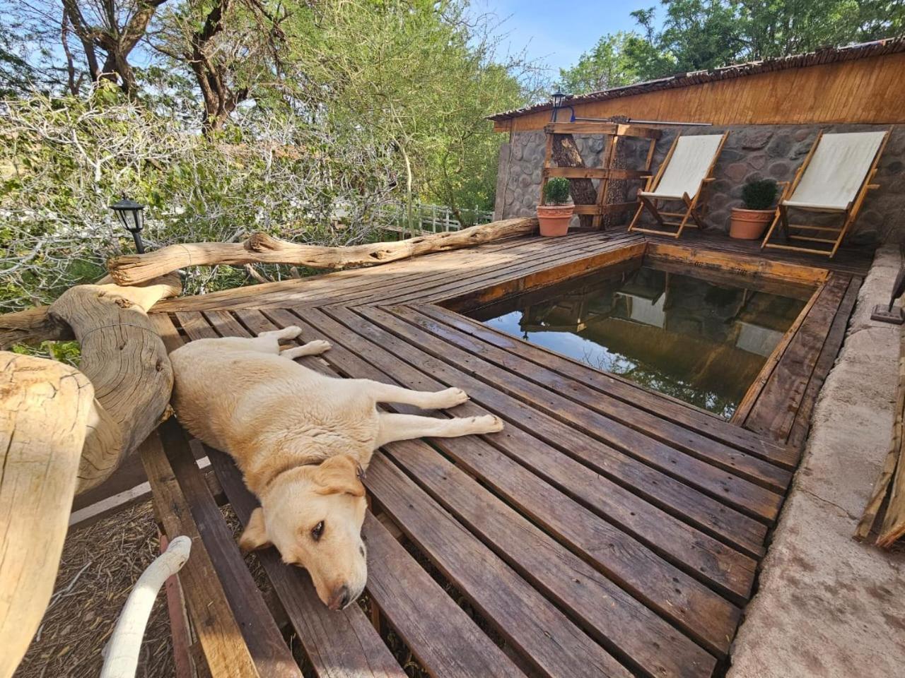 Anka Lodge Quitor Сан-Педро-де-Атакама Экстерьер фото