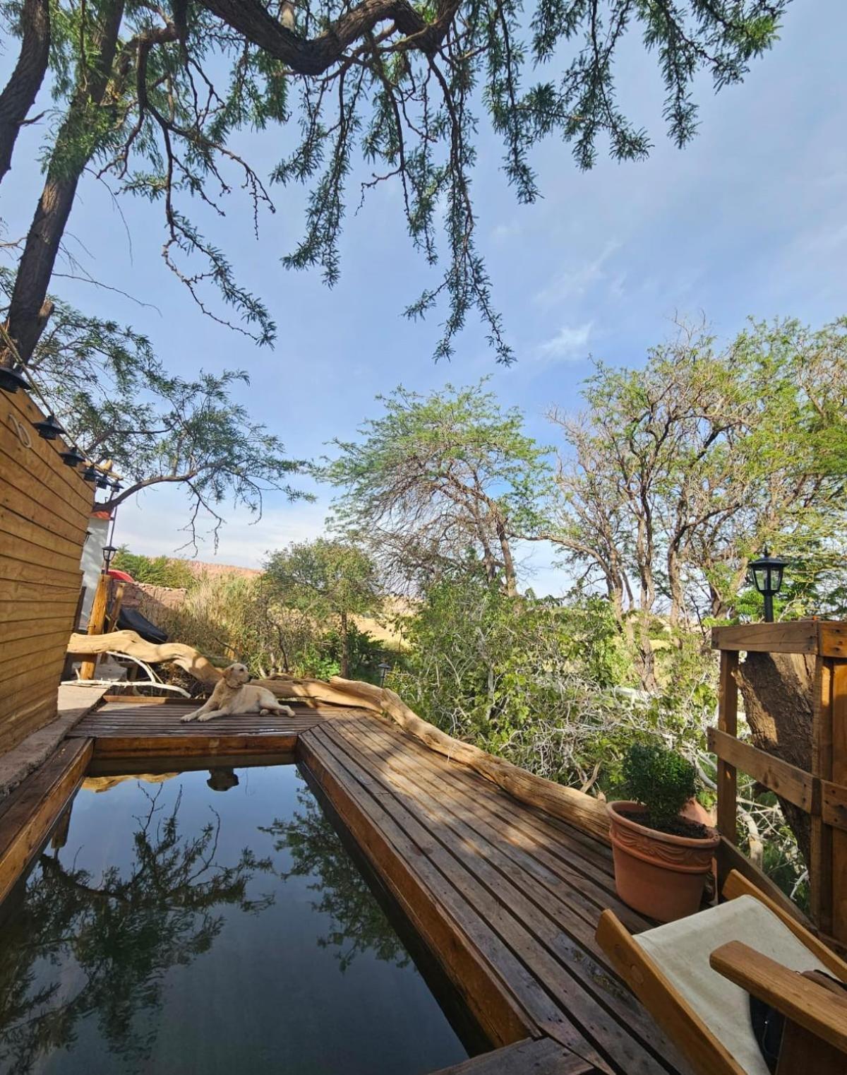 Anka Lodge Quitor Сан-Педро-де-Атакама Экстерьер фото