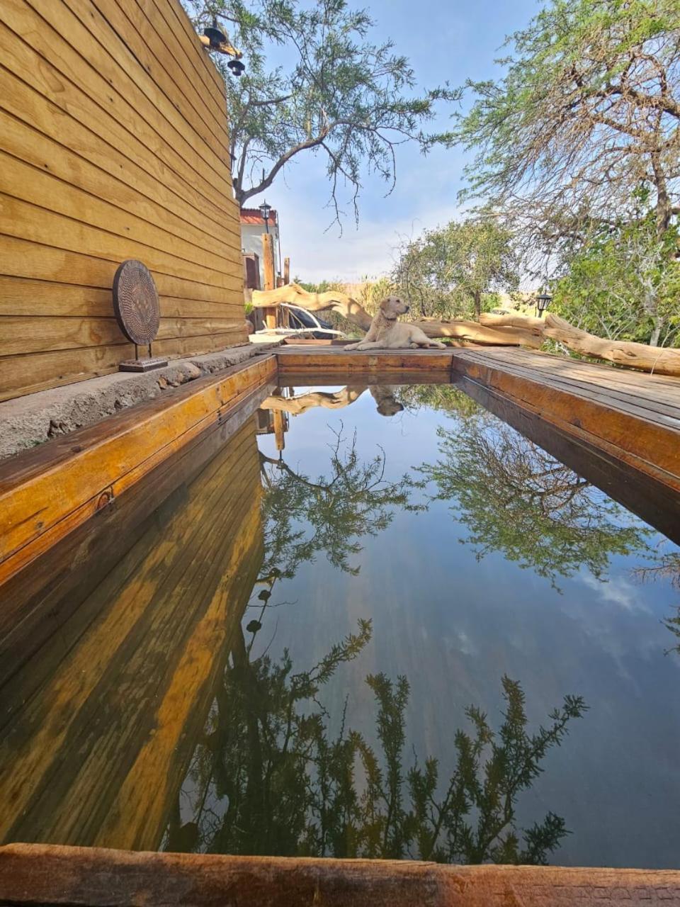 Anka Lodge Quitor Сан-Педро-де-Атакама Экстерьер фото
